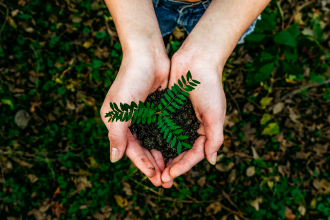 环境；；；；；