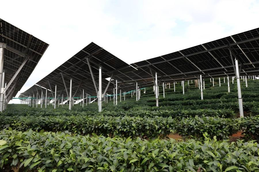 JDB电子官网集团喜获80MW光伏项目保险性建设指标，，，，，，，， 绿色能源发展迈出坚实一步！