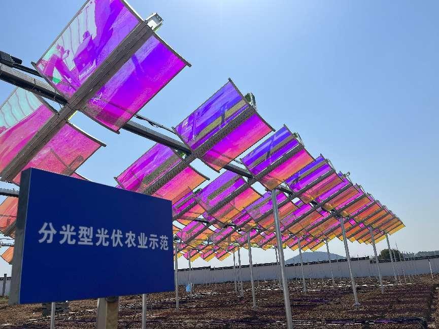 向阳而生，，，，，与光共舞——高资100MW光伏项目破土成章，，，，，匀光分光间书写"双碳"诗行