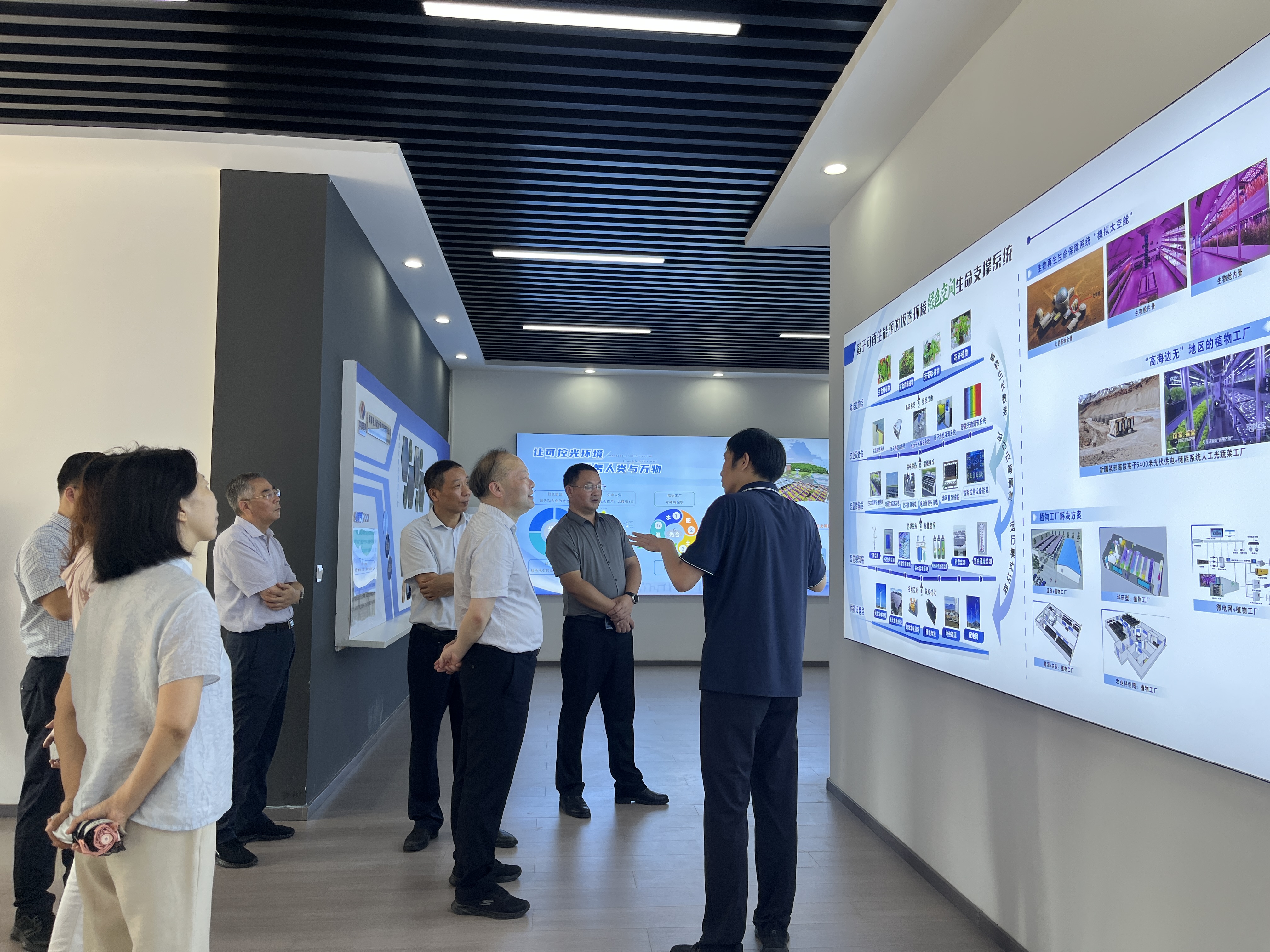 宜昌市人大常委会赴高资项目调延装农光互补”创新实际